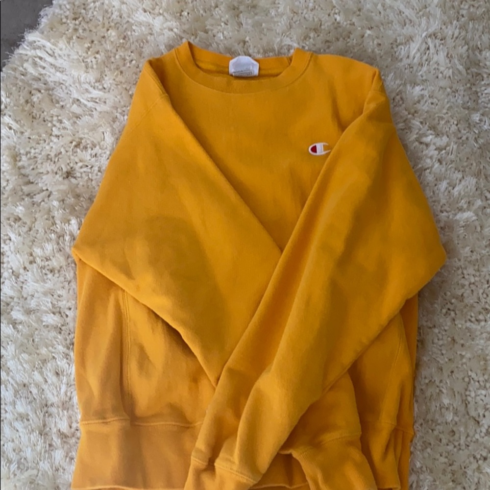 Champion hoodie